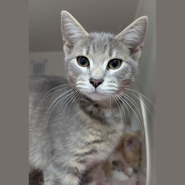 Photo of Arthur