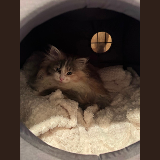 Photo of Jemima 