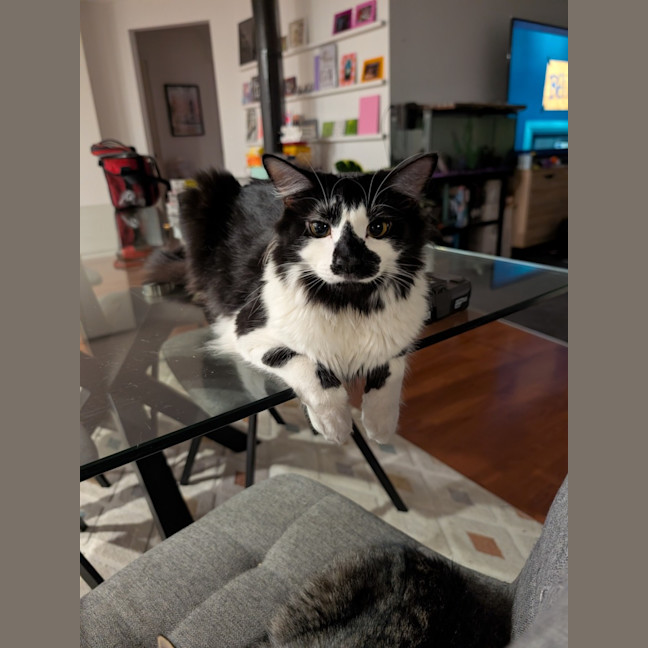 Photo of Junior