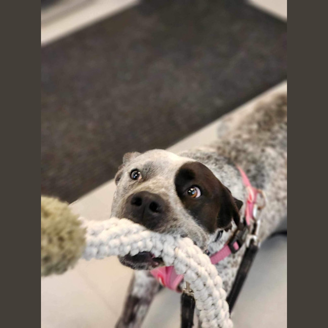 Photo of 🥑 Kevin 5463 🥑