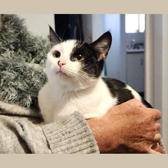 Photo of Blossom