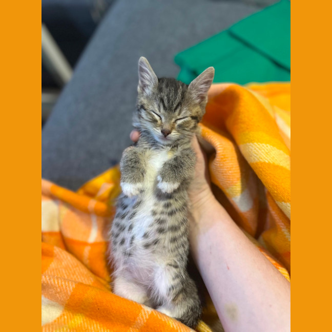 Photo of Peggy