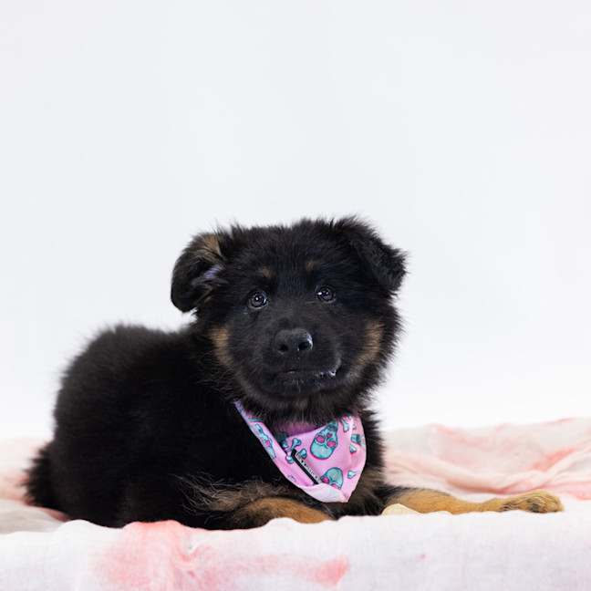Photo of Saweetie