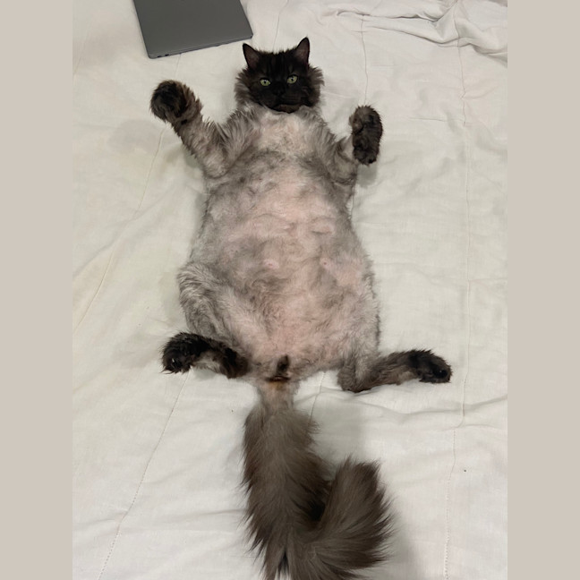 Photo of Governor Purrington