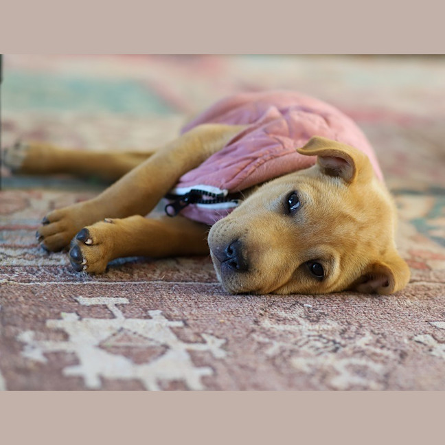 Photo of Winnie