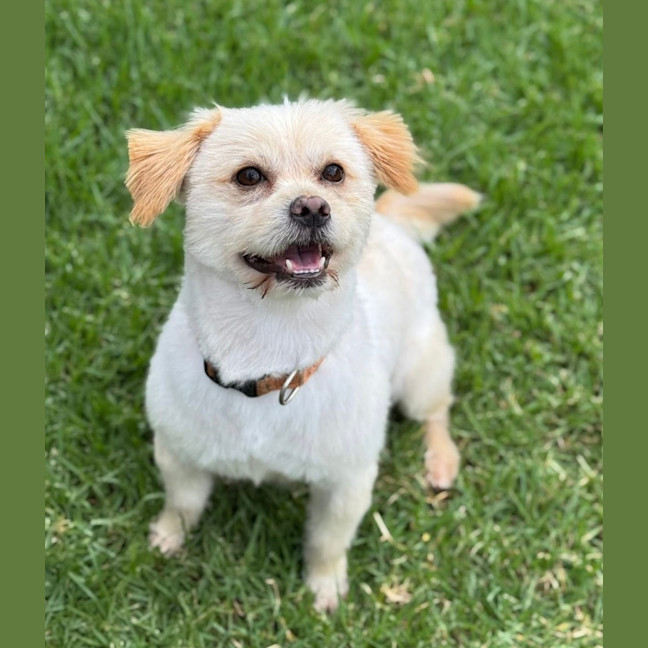 Photo of Krispy Kreme 