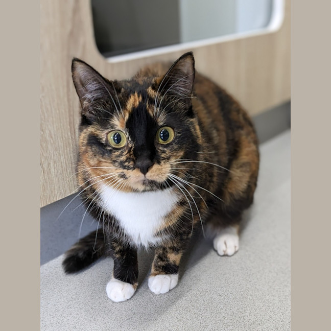 Photo of 🎀 Xanthe 5652 🎀