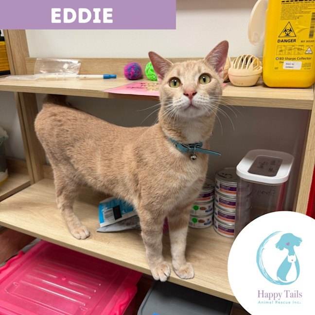 Photo of Eddie