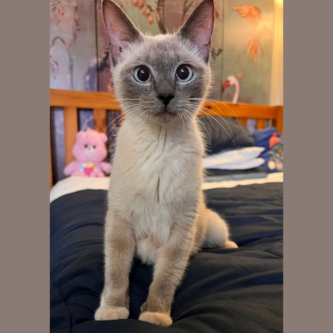 Photo of Whispa