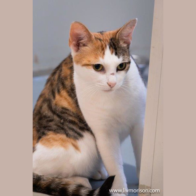 Photo of Hazel Moriarty