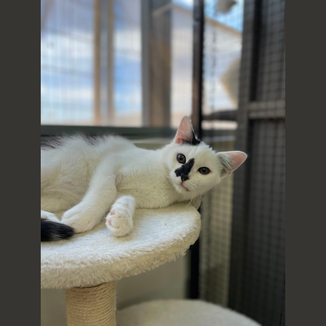 Photo of 🗼 Gilly 5927 🗼