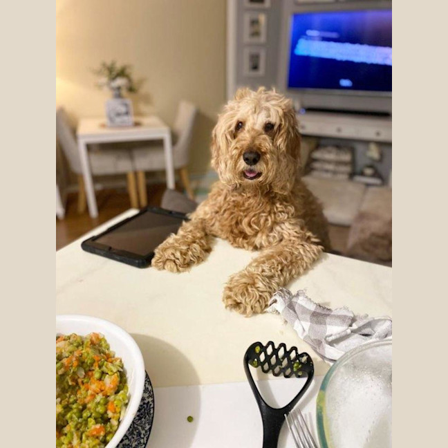 Photo of Shari Jablonski