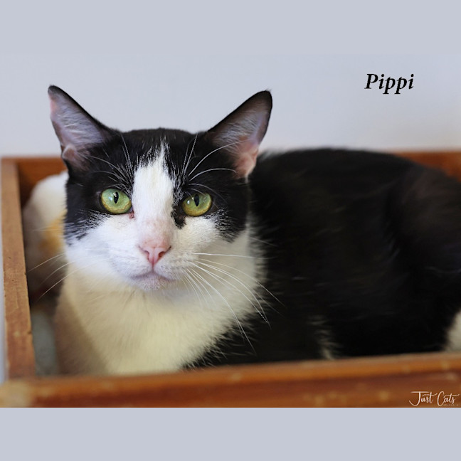 Photo of Pippi