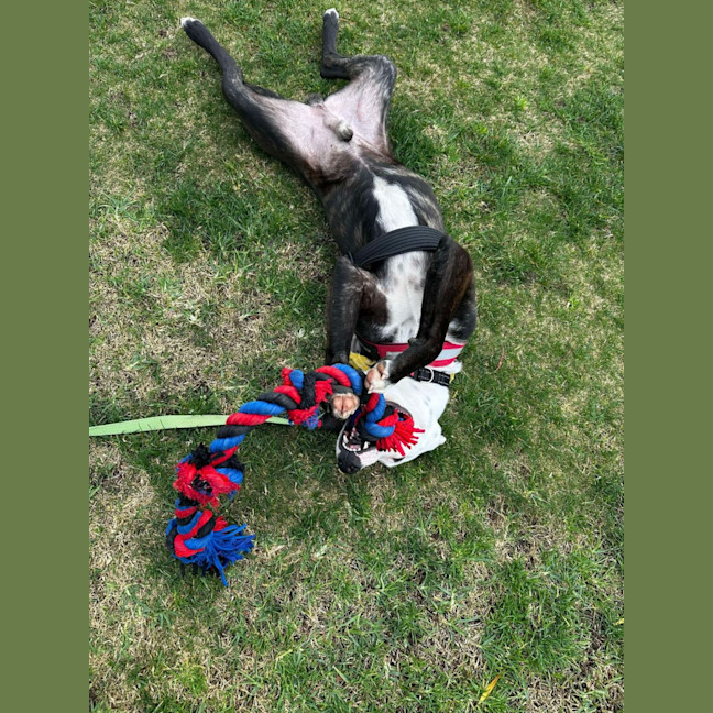 Photo of Sammy