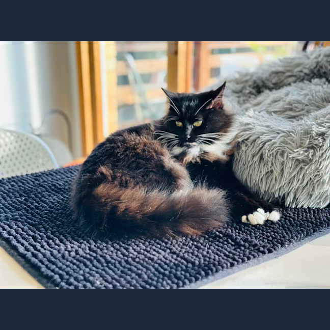Photo of Mimi