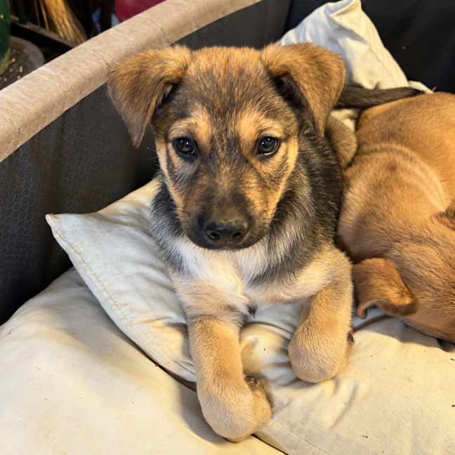 Photo of Fred
