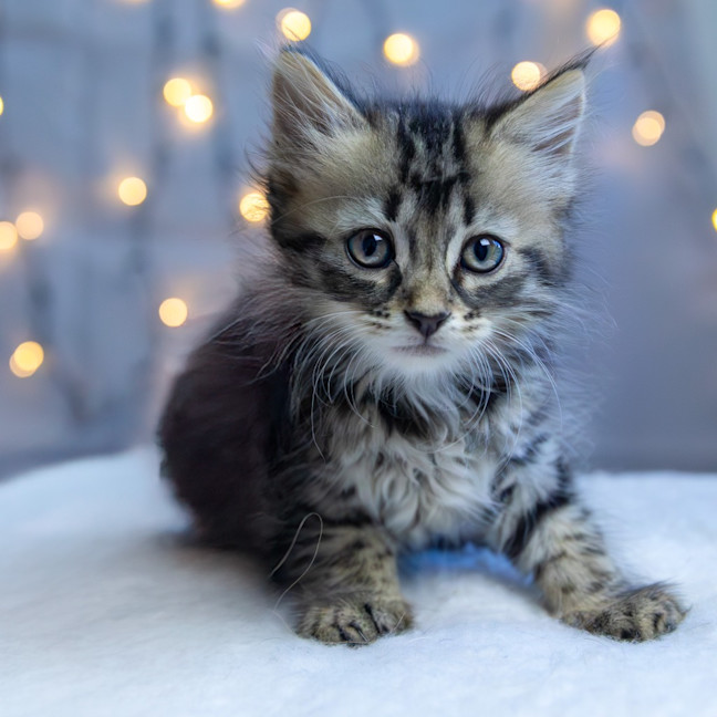 Photo of Zoey Moonlight