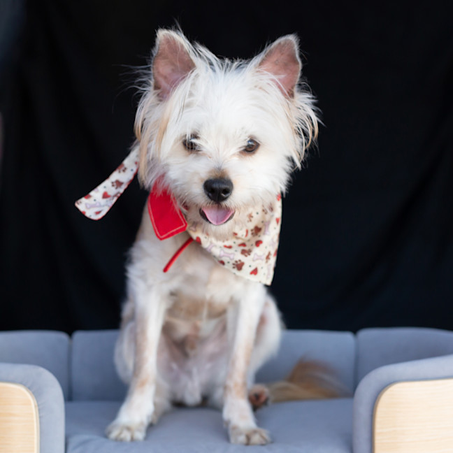 Photo of Jack Sprout