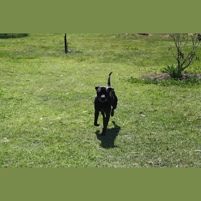 Photo of Ziggy And Zepha