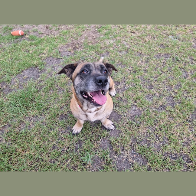 Photo of Wilma Imp 2408