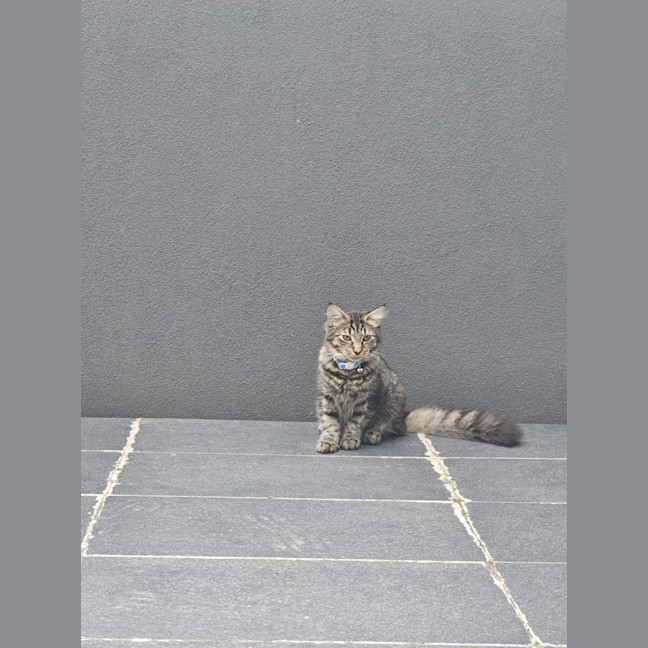 Photo of Motas