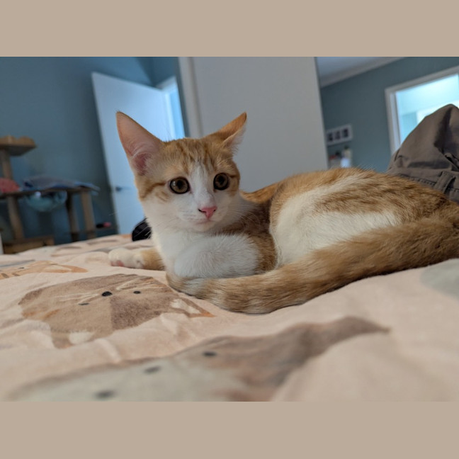 Photo of Ricette (Ricky)