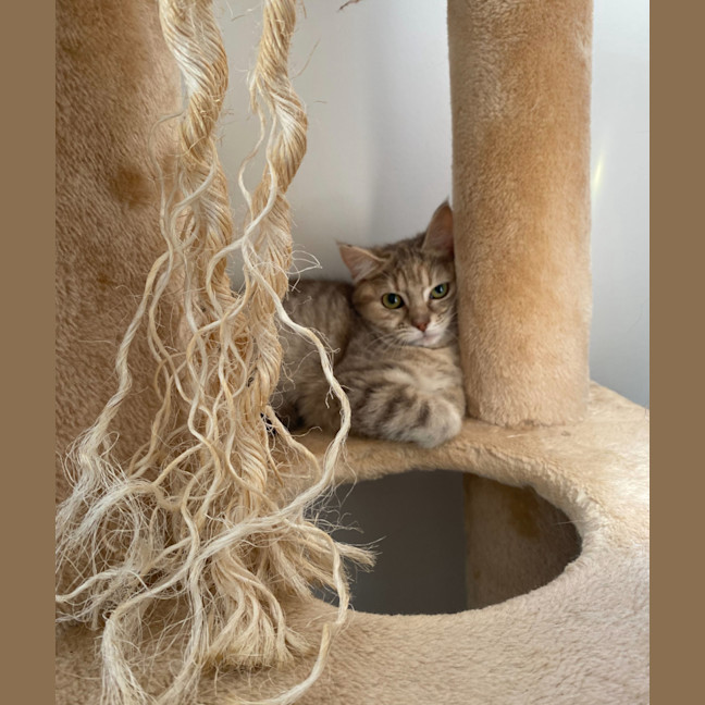 Photo of Astrid & Nova