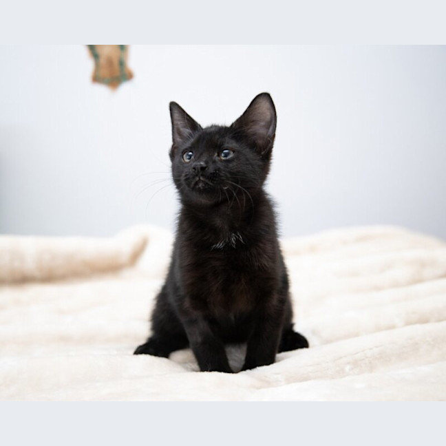 Photo of Lucien