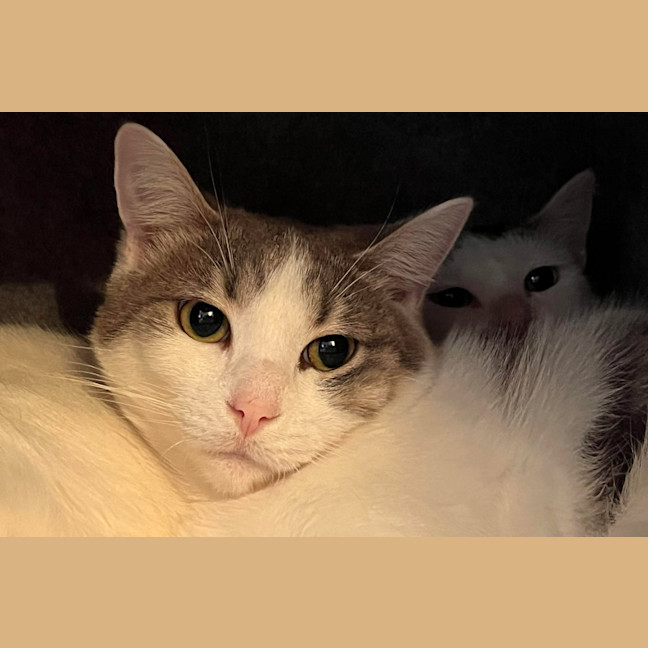 Photo of Minty 