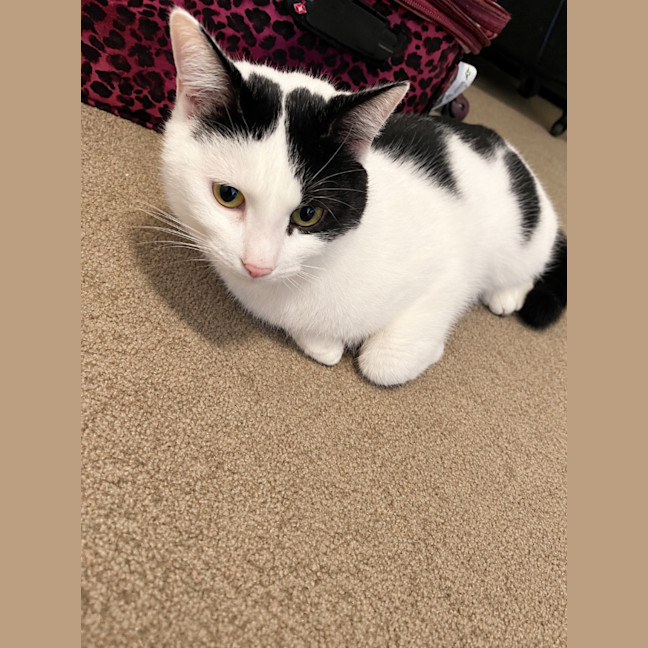 Photo of Matilda