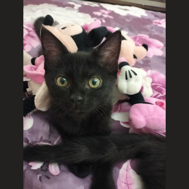 Photo of Minnie