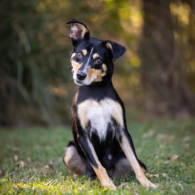 Photo of Kelsey (Twinkle)