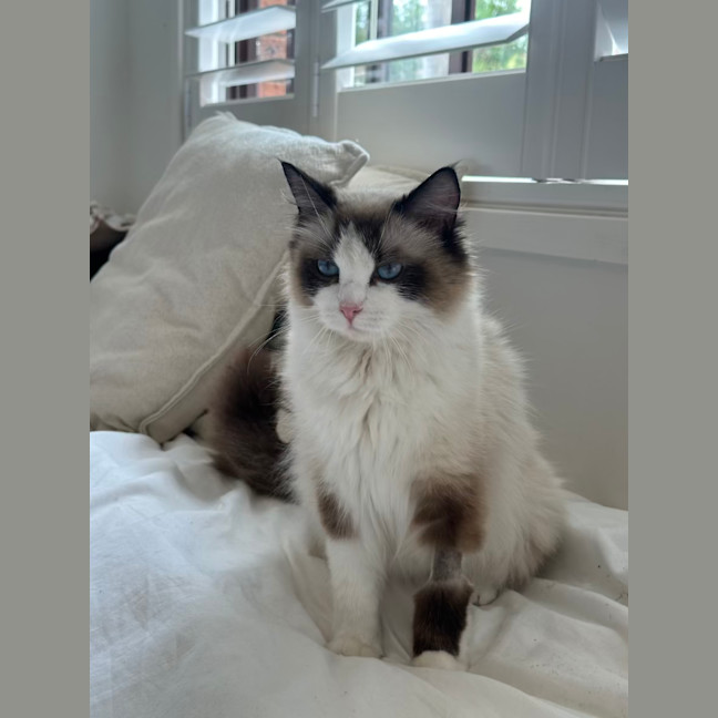 Photo of Princess