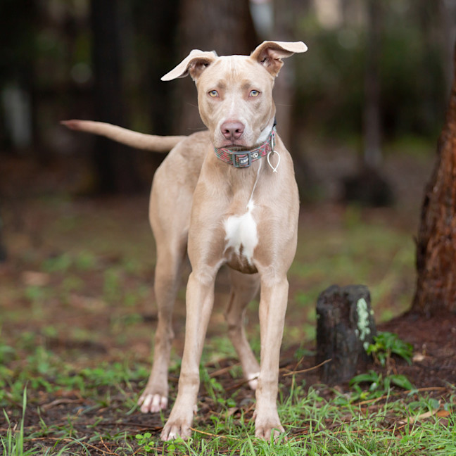 Photo of Fable