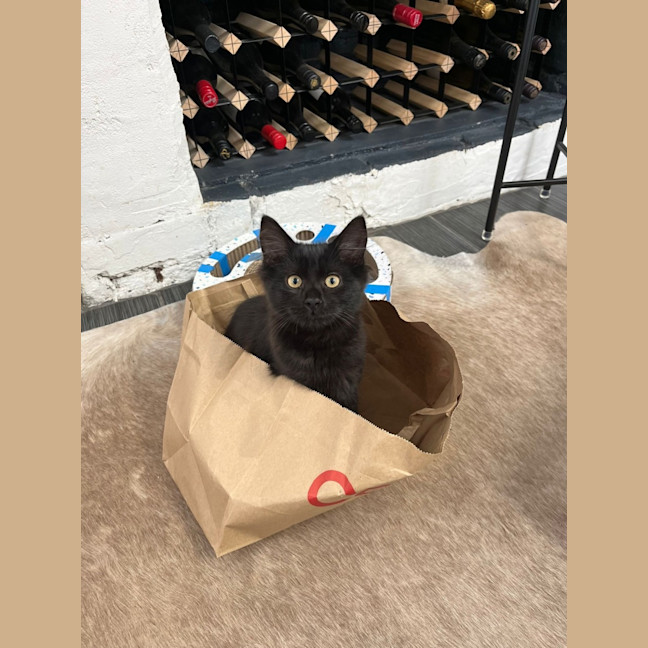 Photo of Wednesday
