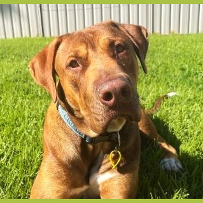 Photo of Benny