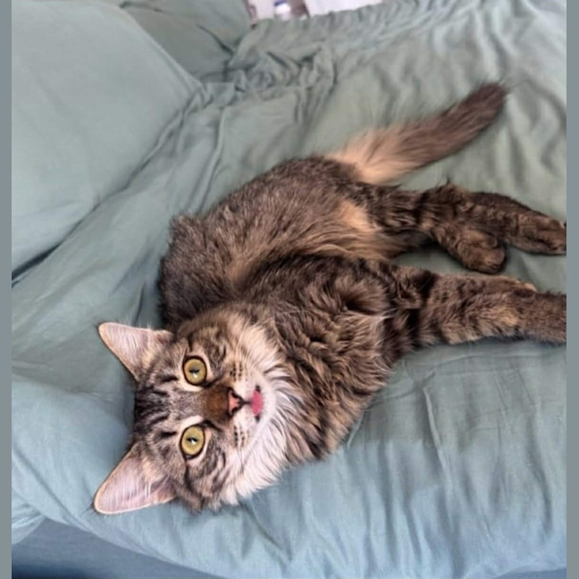 Photo of Lily