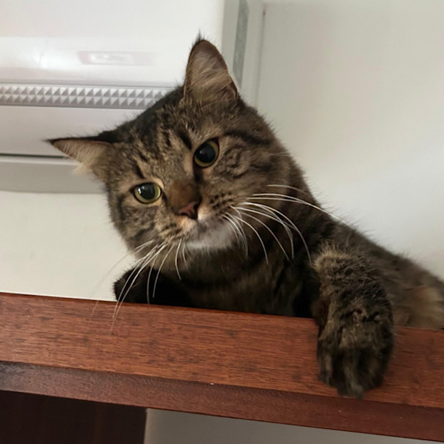 Photo of Tom