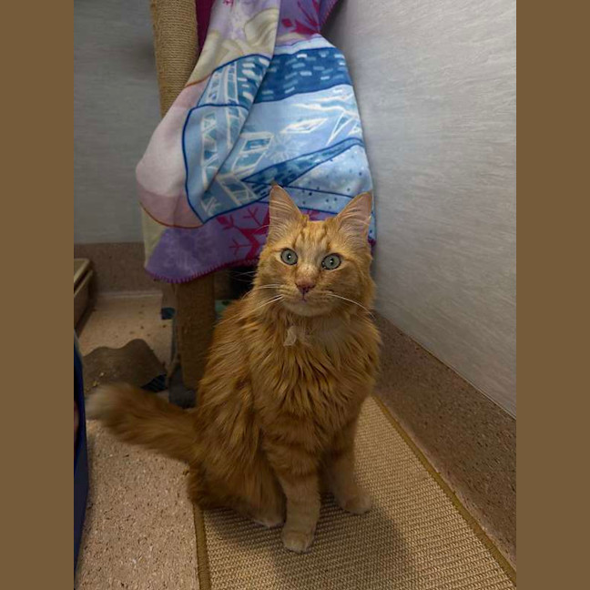 Photo of Leo