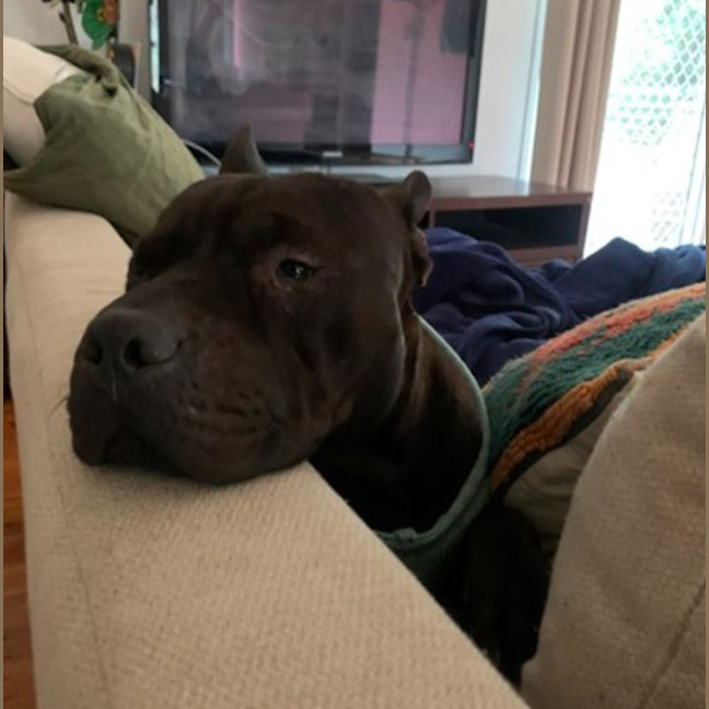 Photo of Wrinkle