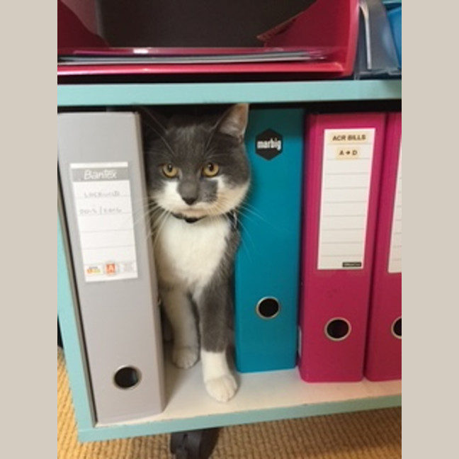 Photo of Sassy Smokey Calls The Shots