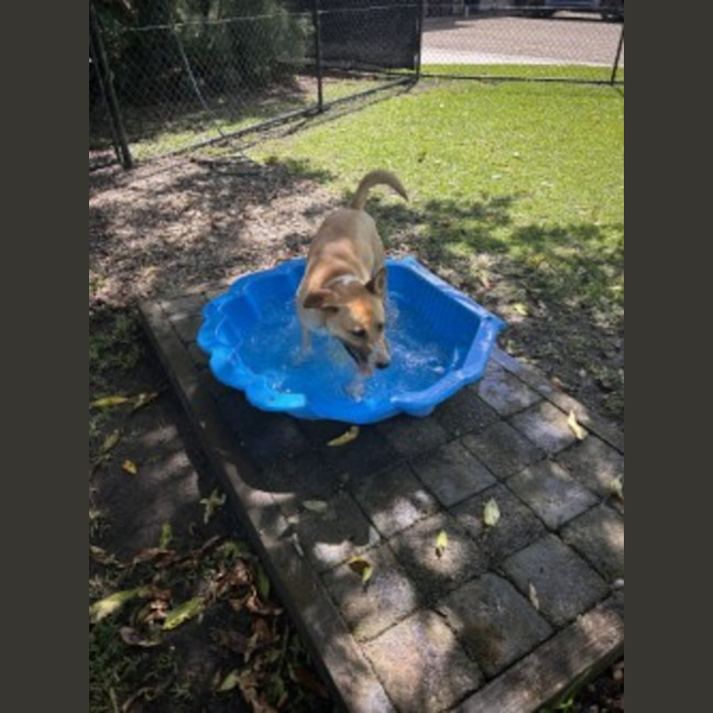 Photo of Hazel
