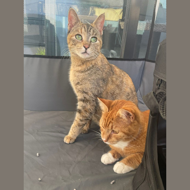 Photo of Lily & Charlie