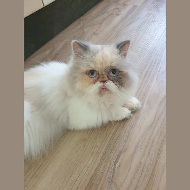 Photo of Samantha 