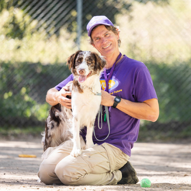 Photo of Diamond