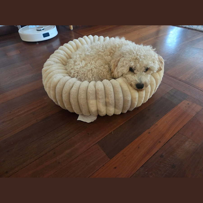 Photo of Beanie 
