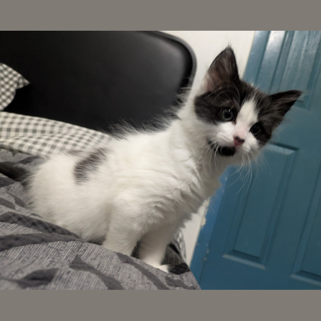 Photo of Zippy Snail