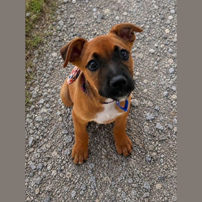 Photo of Tex