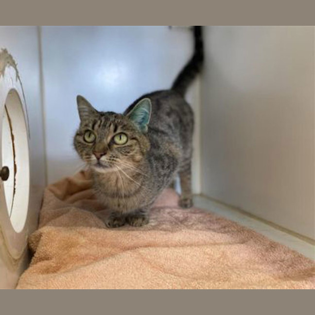 Photo of Big Eyes Betty