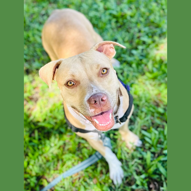 Photo of Luna